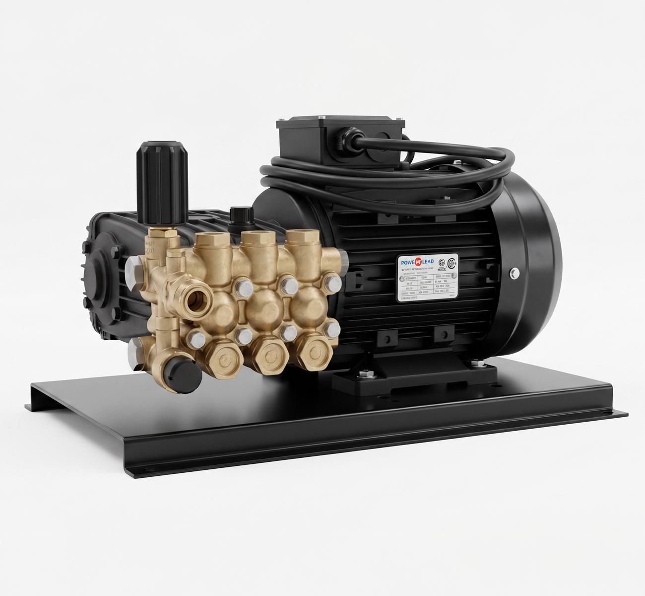 Hidrolavadora Profesional Powerclean Simil Ip Sin Casetina Placa Base 200 Bar 21 L/min 380V Trifasica