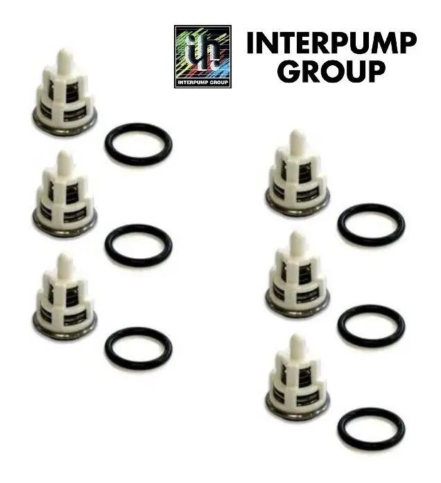 Kit Valvulas Interpump Serie 44 W154 W186