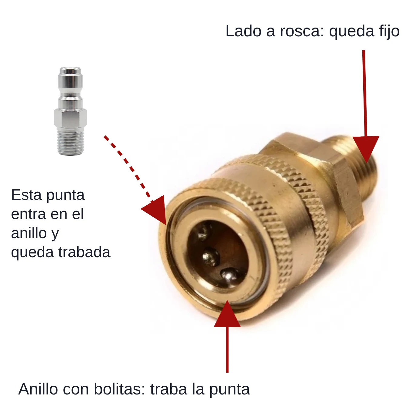 Foto de una punta macho de acople rápido y de un acople rápido de bronce, que señala el anillo con bolitas que traba la punta y el lado a rosca que queda fijo.
