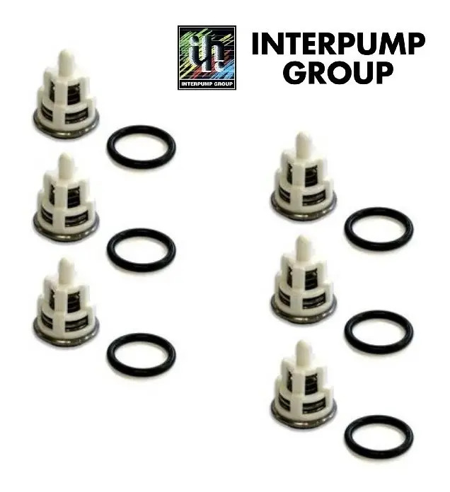 Kit Valvulas Interpump Serie 44 W154 W186